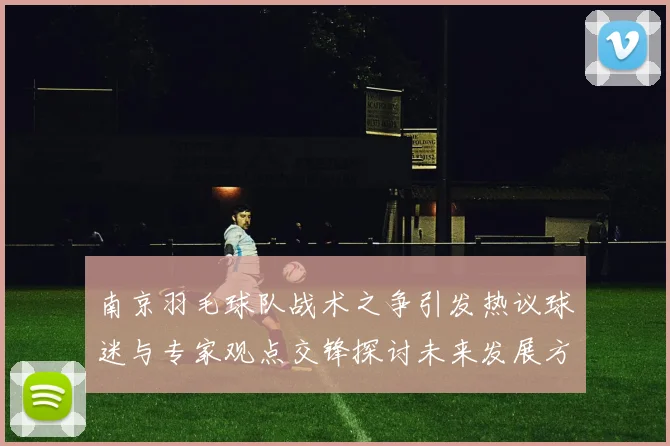 南京羽毛球队战术之争引发热议球迷与专家观点交锋探讨未来发展方向